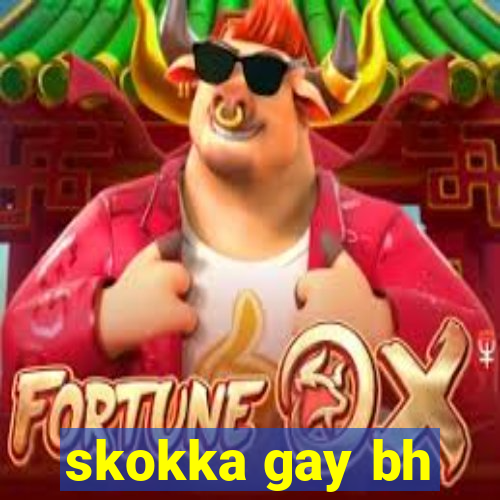 skokka gay bh